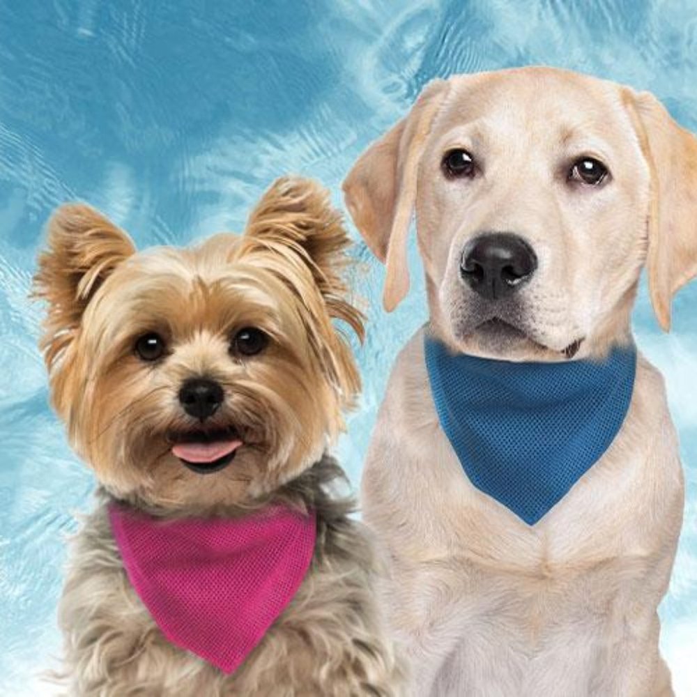 ❣️HP❣️FouFit pet cooling blue mesh tie bandana. Sz: S/M